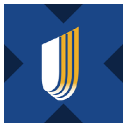 UnitedHealth tokenized stock (xStock)
