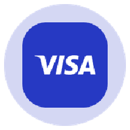 Visa Tokenized Stock (Ondo)