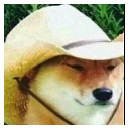 What in Tarnation?