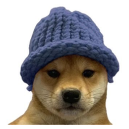 WIF on ETH