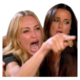 Woman Yelling At Cat