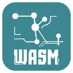 ZKWASM